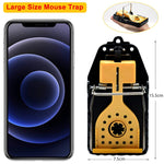 2Pcs Rat Traps for House Garden Patio, Reusable Mouse Traps for Mice, Rats, Chipmunks, Squirrels, Hamsters and Other Rodents, Quickly Slam Rat Killer for Indoor and Outdoor