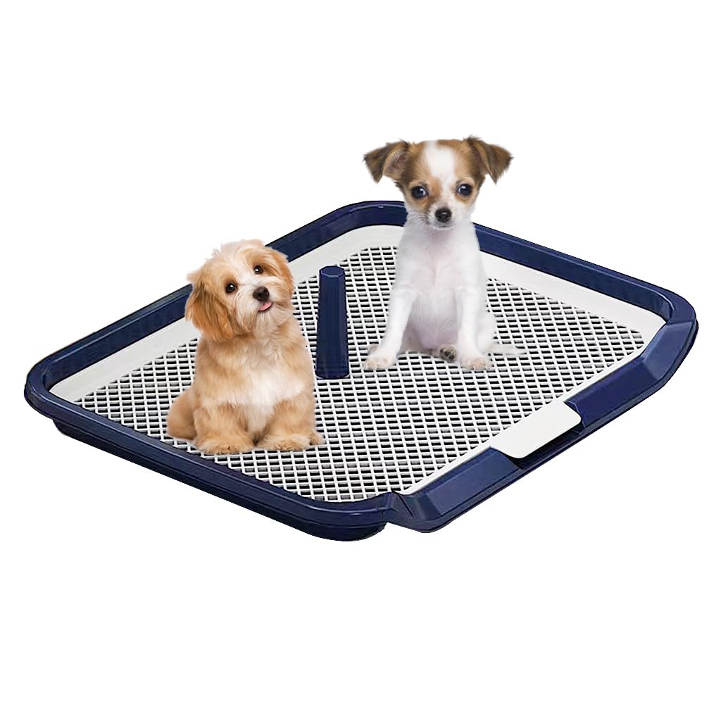HASTHIP Dog Toilet for Small and Medium Dogs featuring Removable Mesh Grate 65 x 50 cm | Easy Cleanup