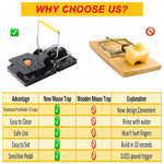 HASTHIP Rat Traps for House and Garden featuring Simple Bait Mechanism | 12PCS Reusable