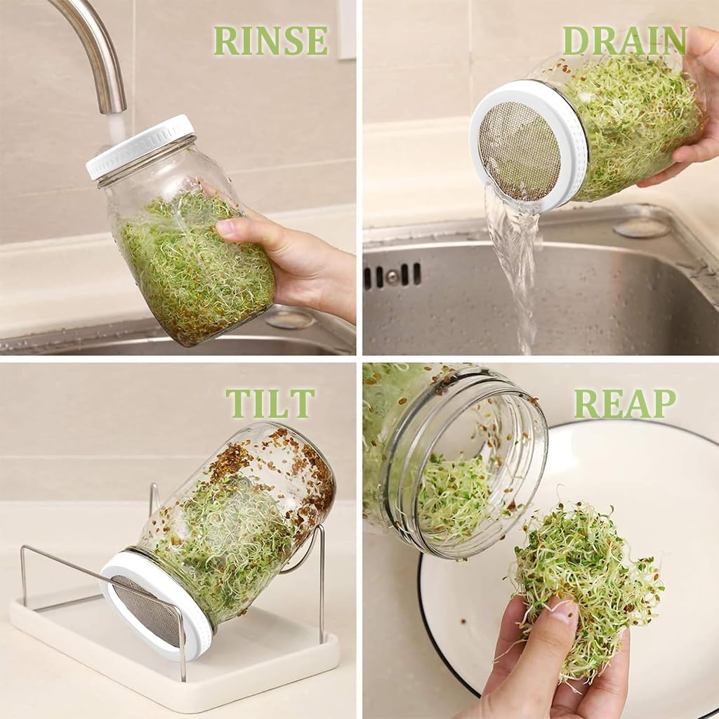 HASTHIP Seed Sprouting Jar Kit for Homemade Bean Sprouts with 32oz Glass and Stainless Steel Mesh Lid | Light Shield Sleeve and Stand