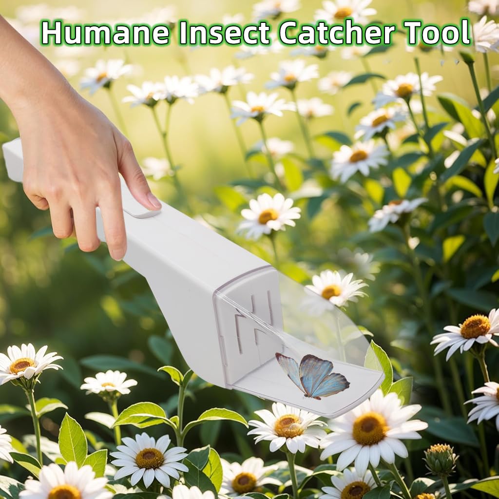 HASTHIP Humane Insect Catcher Tool for Outdoor Exploration with Quick Release Button | Fun Learning for Kids and Adults