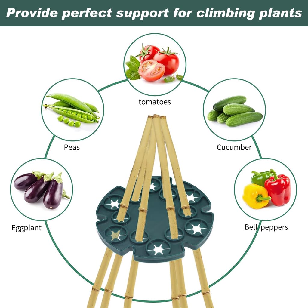 HASTHIP Plant Climbers Stem Holders for Garden Canes with 12 Hole Plastic Design | 10 Pcs Set