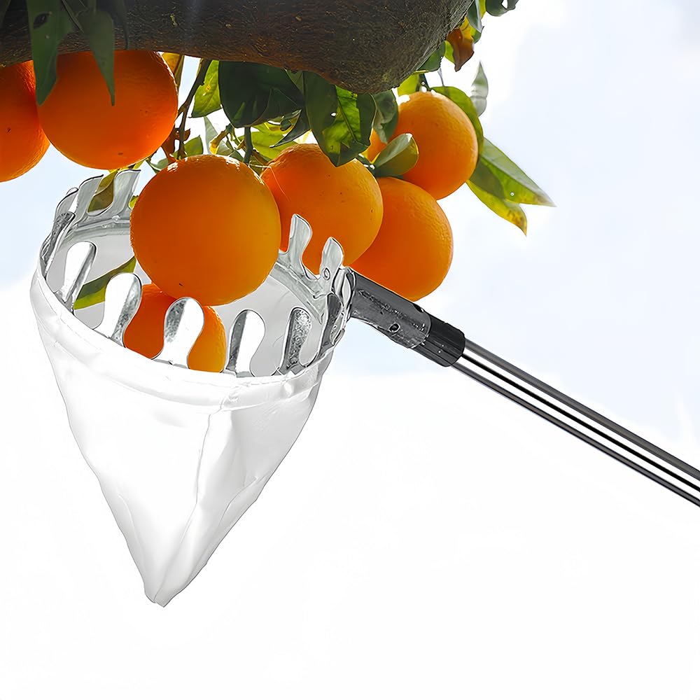 HASTHIP Fruit Picker Tool for Tree Harvesting with 10.5 ft Extendable Pole and Alloy Basket | Easy Assembly