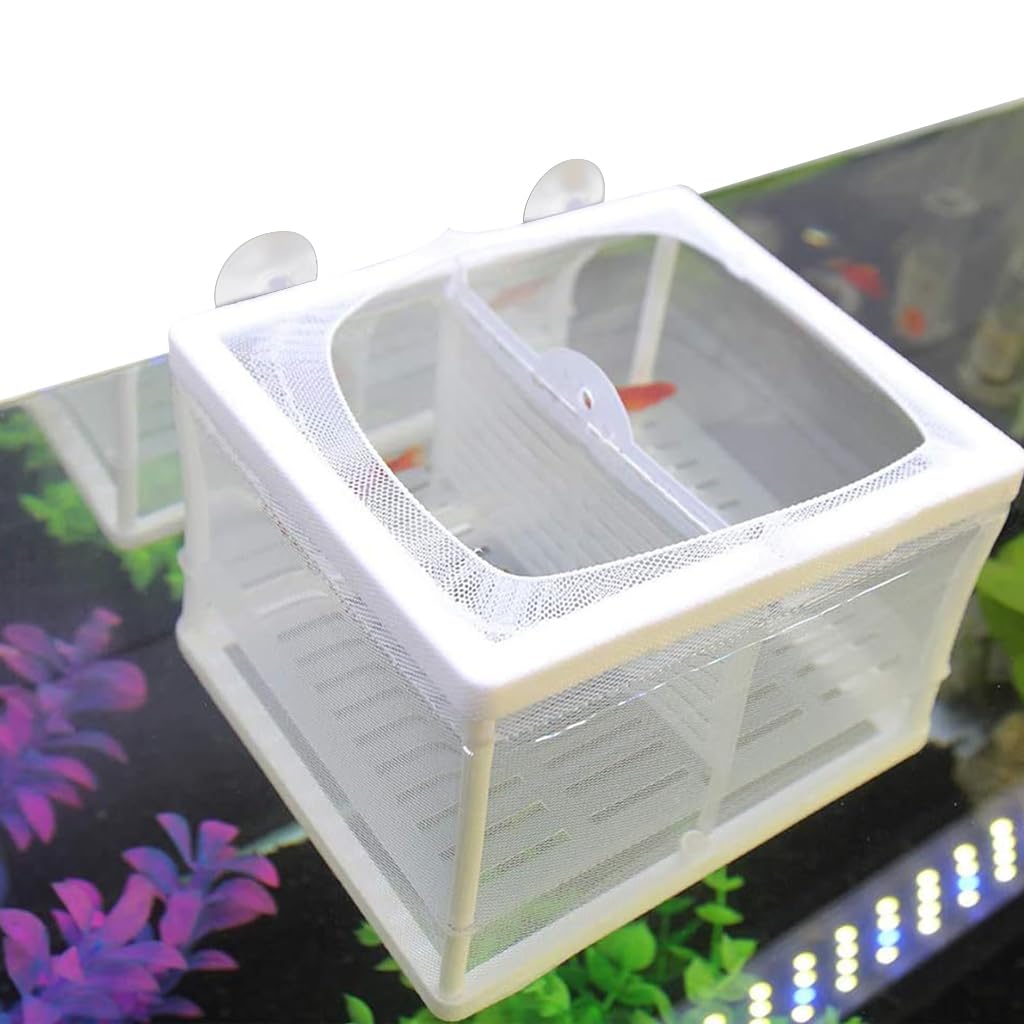 HASTHIP® Caja de Cría para Peces de Acuario Flotante con Ventosas,Caja Aislamiento con Divisores Modulares,Malla Nailon Transparente Tanque Pequeño para Cría y Cuarentena Betta