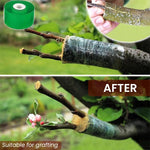 HASTHIP Grafting Cutter Tool for Fruit Trees and Flowers with 7.56 in Folding Design featuring Curved Steel Blade and Anti Slip Wooden Handle | Includes 1 Roll Grafting Tape