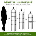 HASTHIP Climbing Trellis for Garden Plants with 145cm Obelisk Structure and Owl Topper | Decorative Support for Flowers and Ivy