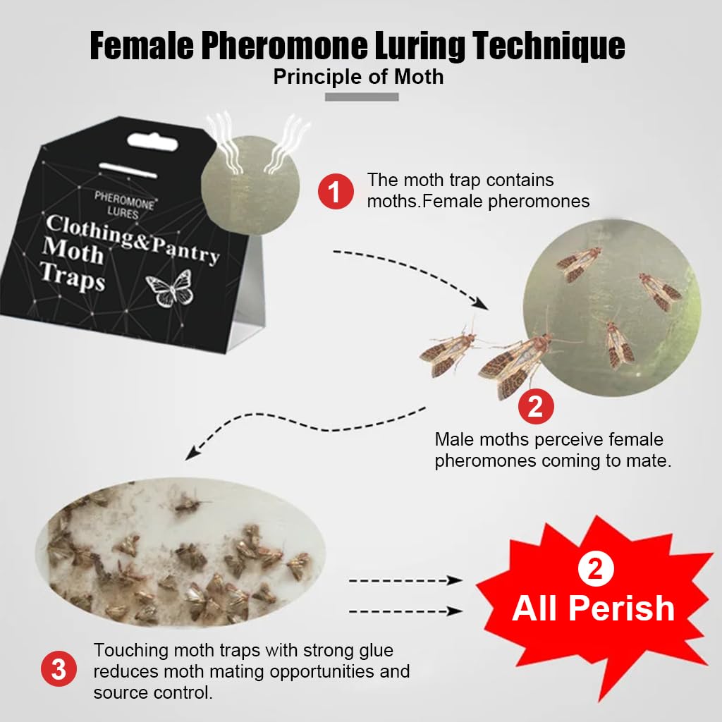HASTHIP Moth Traps for Clothes and Pantry with Strong Glue Backing and Pheromone Lure 10PCS