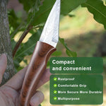 HASTHIP Grafting Tool for Fruit Trees and Roses with 2 Rolls 200 m Tape | Wooden Handle Stainless Steel Cutter