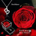 HASTHIP Heart Pendant Necklace Gift Set for Mother with 2 Preserved Roses | Silver Chain for Women and Girls