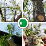 HASTHIP Grafting Cutter Tool for Fruit Trees and Flowers with 7.56 in Folding Design featuring Curved Steel Blade and Anti Slip Wooden Handle | Includes 1 Roll Grafting Tape