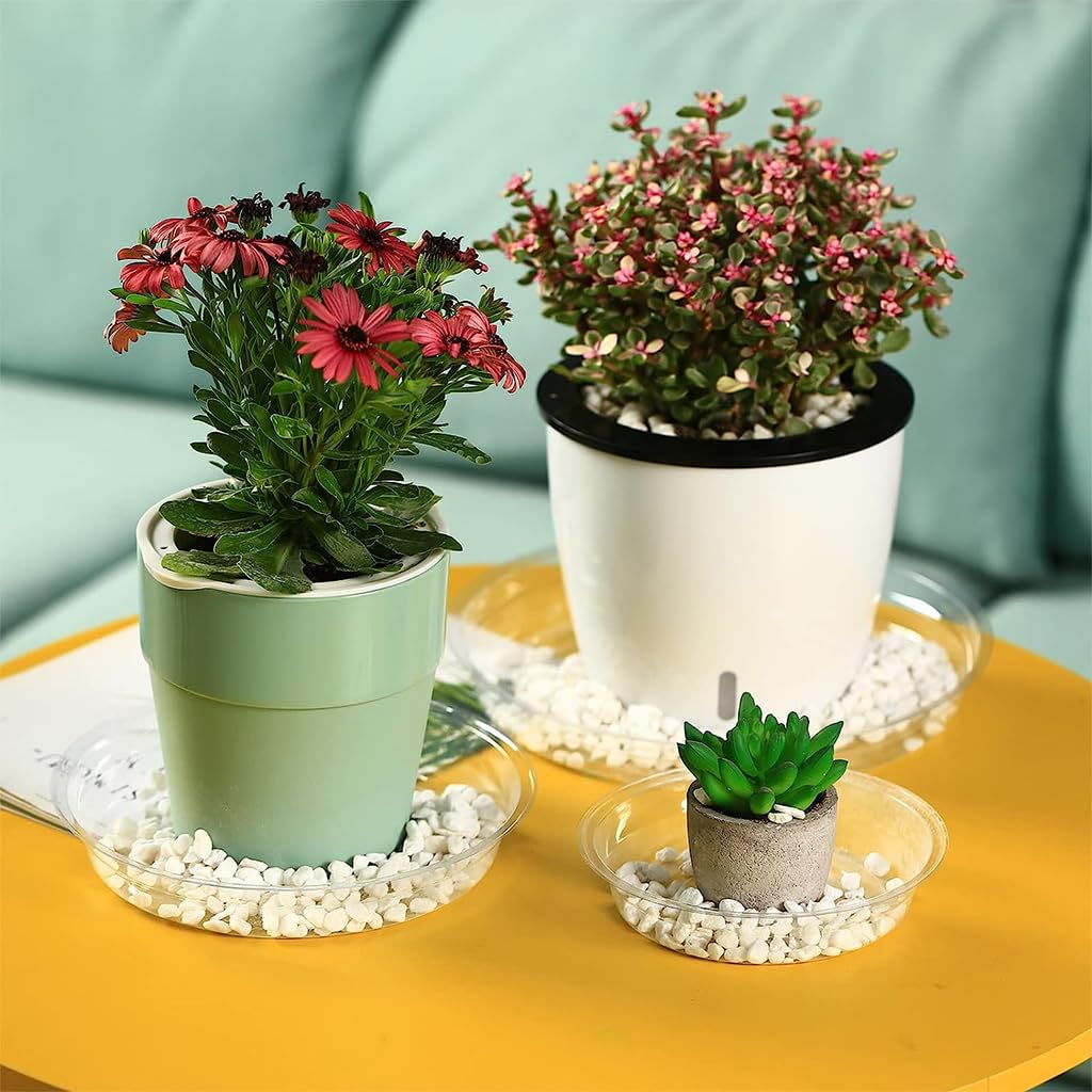HASTHIP Plant Saucers for Indoor and Outdoor Use with Grooved Drainage Base 12 Pack | Clear Plastic Trays in 6 8 10 12 in Sizes