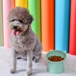 HASTHIP® Cat Bowl, Elevated Cat Food Bowls Shallow Cat Feeding Bowl - Thickened PP Fabric, Anti-Tip 15° Tilt, Easy Clean Puppy Bowl