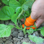 HASTHIP Thumb Cutter for Gardening with 2pcs Stainless Steel Blades and 10pcs Finger Protectors | Efficient Harvesting and Trimming Tool