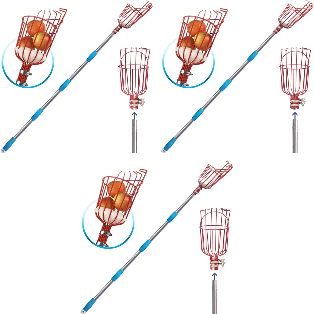 HASTHIP Fruit Picker for Mango Coconut and Apple Trees with 1.9m Telescopic Pole and 7-Claw Basket