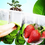 HASTHIP Seed Starter Tray for Germination with 12 Silicone Pots and Clear Vent Lid | Includes Drip Tray and Tools
