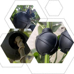 HASTHIP Plant Rooting Ball Set for Air Layering Propagation featuring 6 Reusable Pods