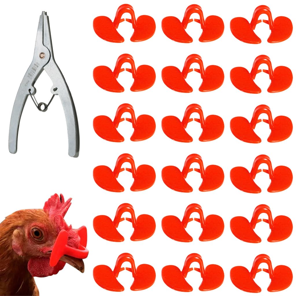 HASTHIP Chicken Goggles for Poultry with Pincer Tool and 100 PCS Set | Eye Protection for Hens and Ducks