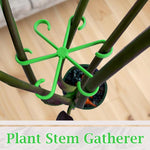 HASTHIP Plant Climbers for Indoor and Outdoor Use featuring 6-Claw Stem Holders 4 Pack | Plastic Support Rings for Climbing Plants