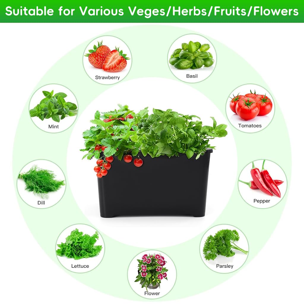 HASTHIP Hydroponic System Kit for Indoor Gardening with 6 Compartments and USB Air Pump | Black PP Grow Box