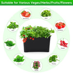 HASTHIP Hydroponic System Kit for Indoor Gardening with 6 Compartments and USB Air Pump | Black PP Grow Box