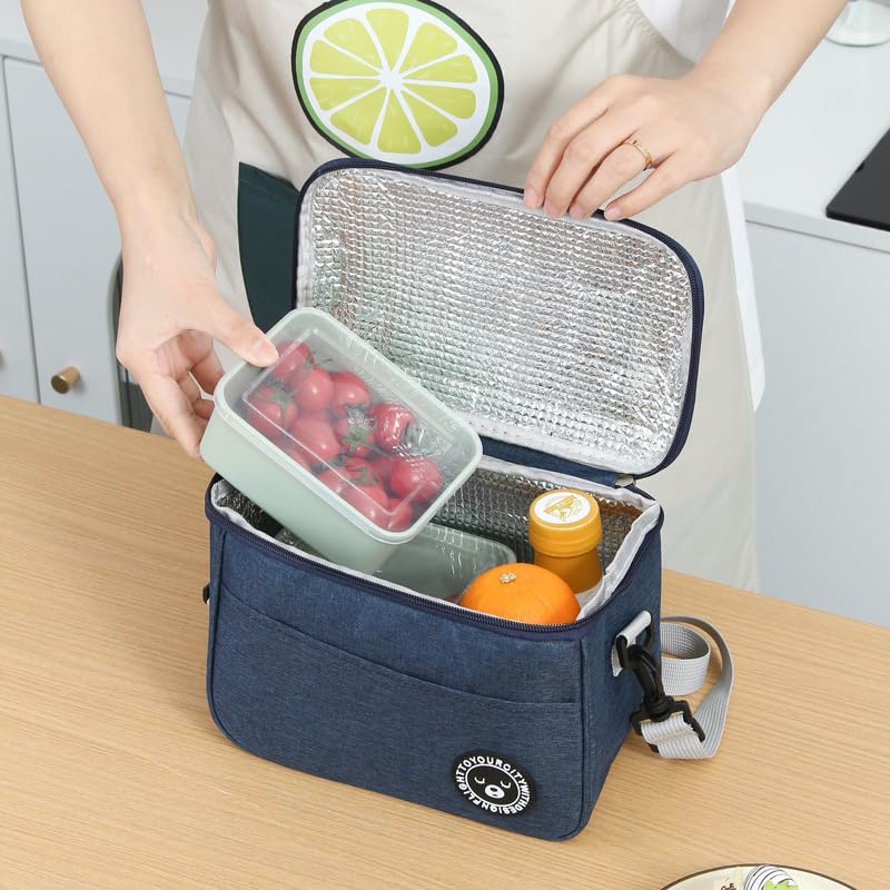 HASTHIP Insulated Lunch Bag for Camping and Office with Foil Liner & Shoulder Strap 26x18x17cm | Turquoise