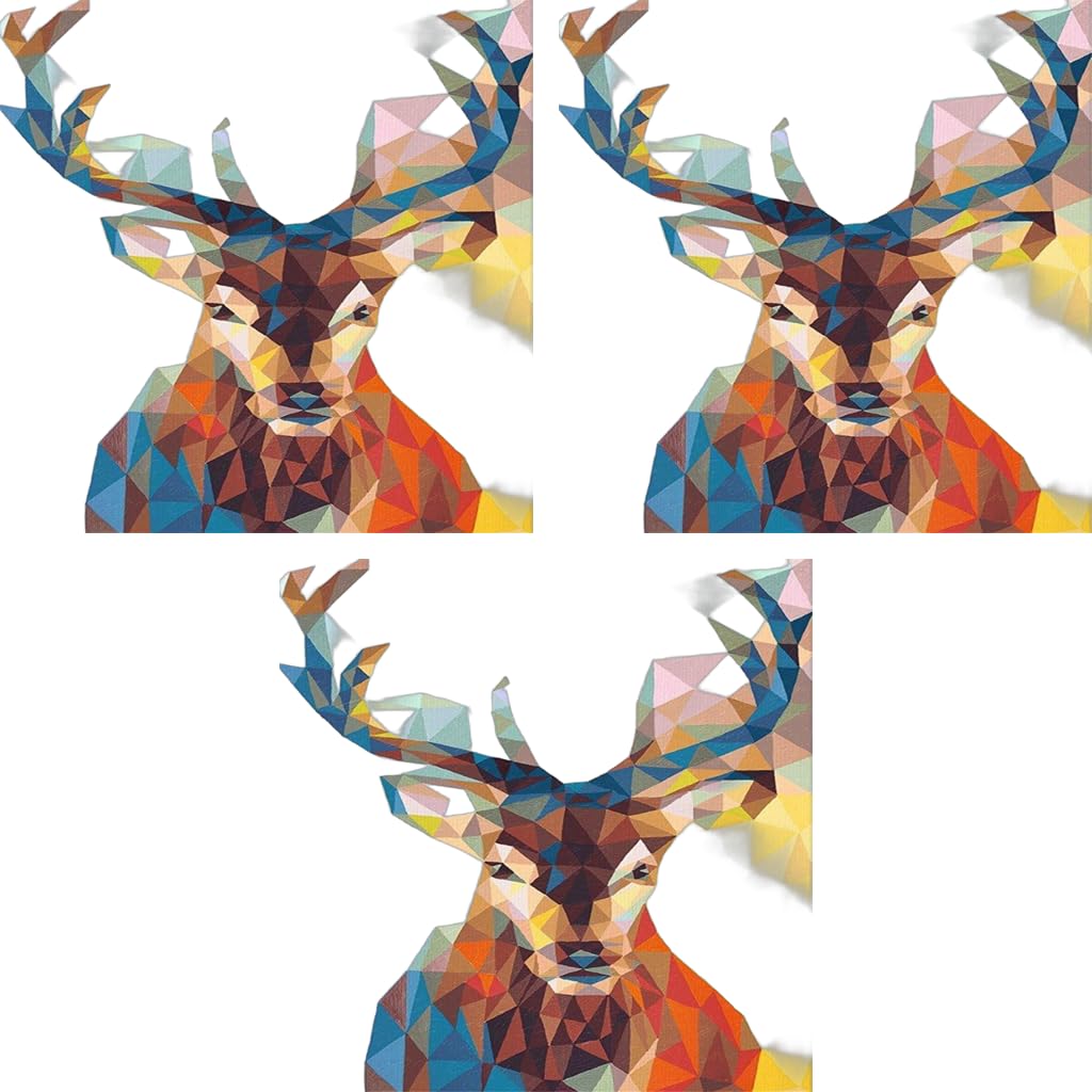 HASTHIP Paint by Number Kit for Adults with 3X Magnifier Card and Acrylic Colors | 3 PCS 16 x 20 in Canvas