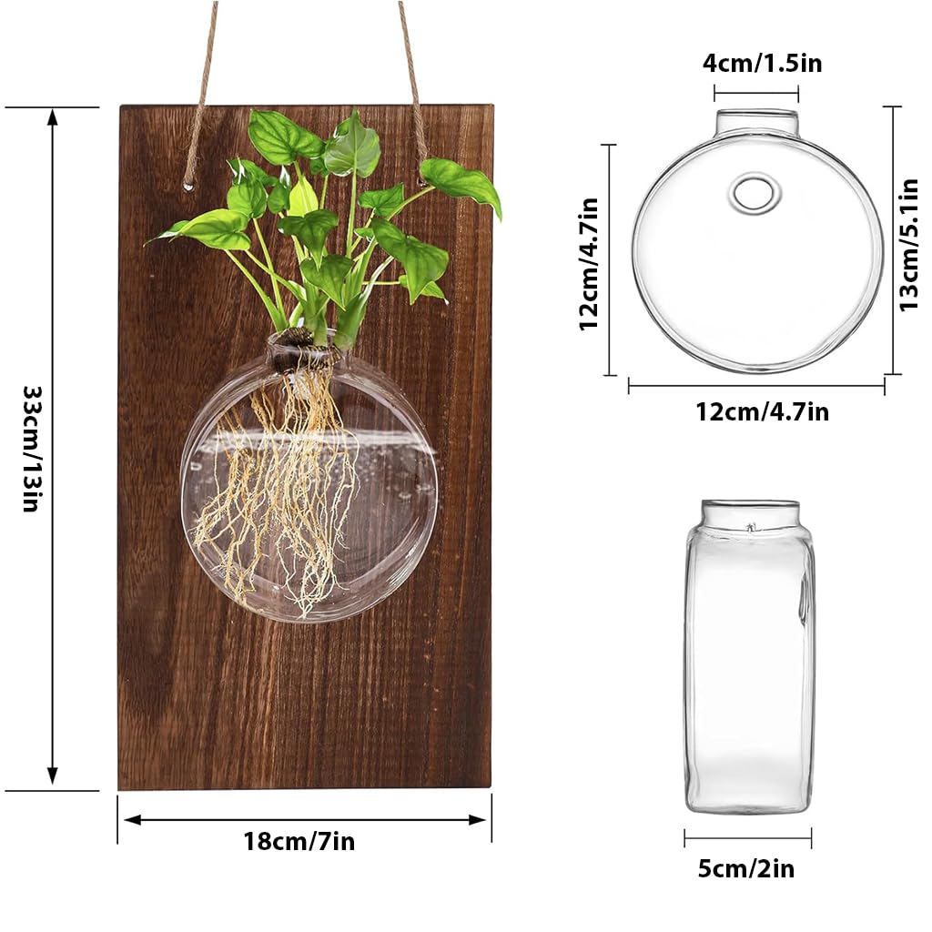 HASTHIP Glass Hydroponic Kit for Home Decor with Wooden Board and Hemp Rope | 18x33cm Wall Hanging Planter
