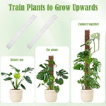 HASTHIP Plastic Moss Pole for Monstera and Pothos 6pcs 23.62in | Hollow Out Upright Growing Support