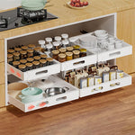 HASTHIP Pull Out Shelves for Kitchen and Closet with 12.5 cm x 34 50 cm Sliding Rail | Carbon Steel Organizer