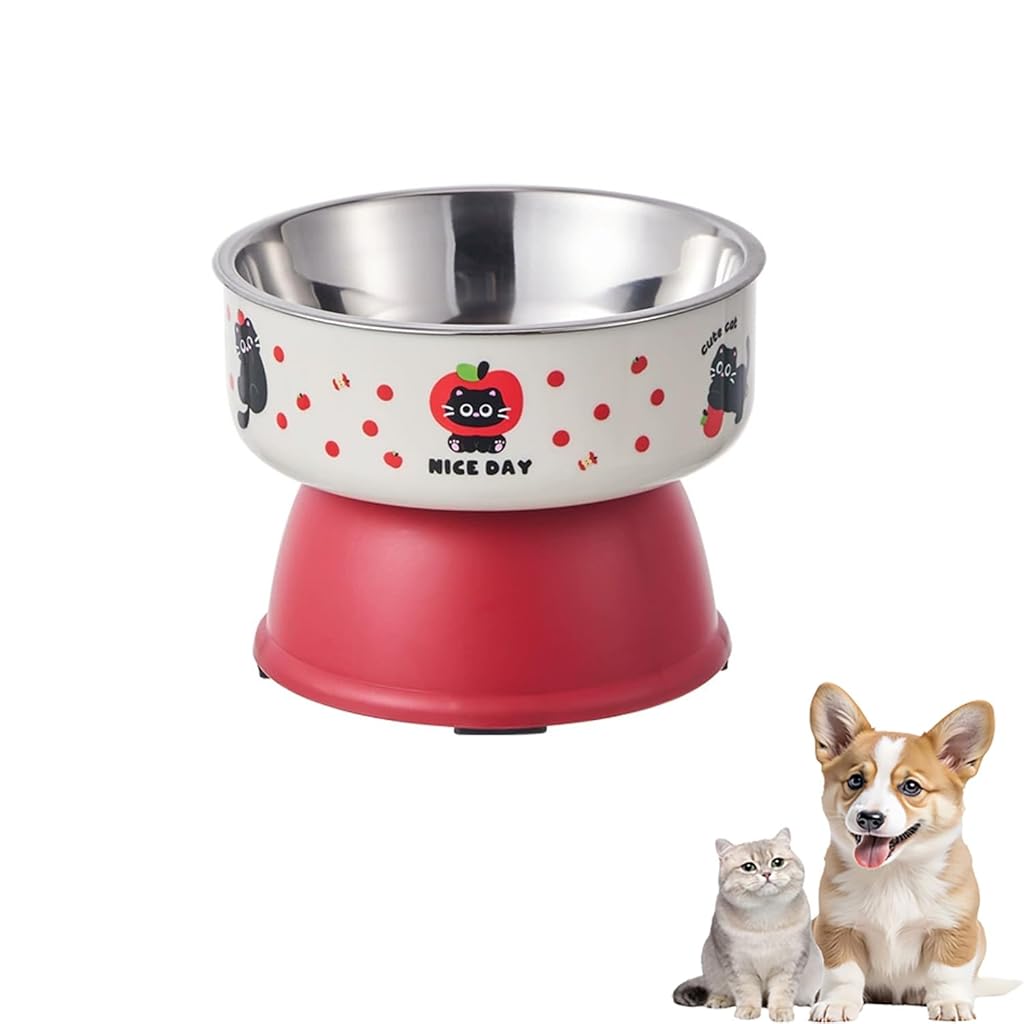 HASTHIP® Stainless Steel Elevated Cat Bowls for Food and Water