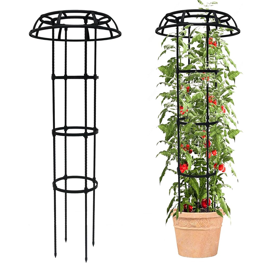Bestsellers: De beste items in Klimplantgeleiders Bestsellers: De beste items in Klimplantgeleiders