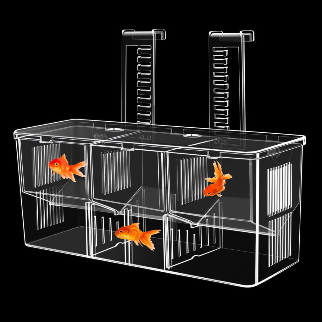 HASTHIP® Guppy Breeding Box Aquarium Isolation