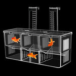 HASTHIP® Guppy Breeding Box Aquarium Isolation