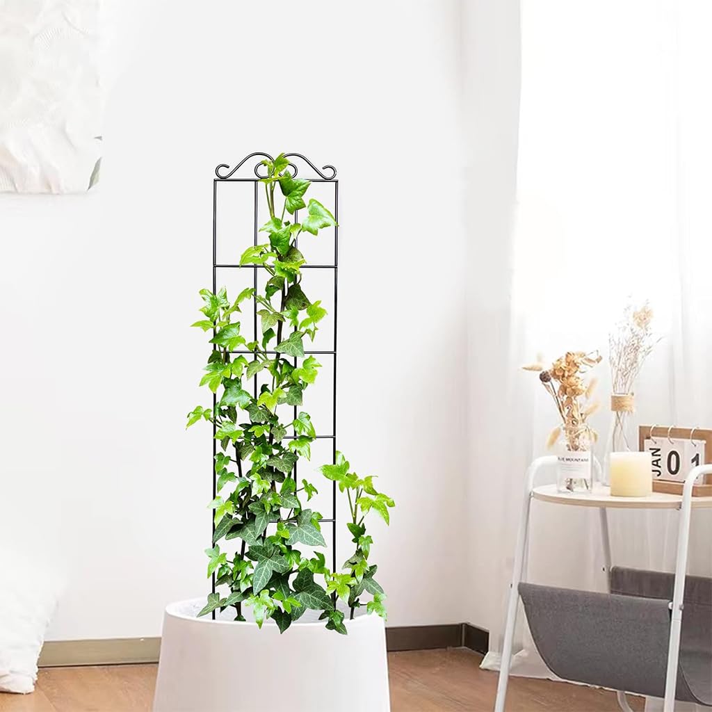 HASTHIP Metal Garden Trellis for Climbing Plants with Insert Support 50x15 cm | Weather‑Resistant 2 Pack