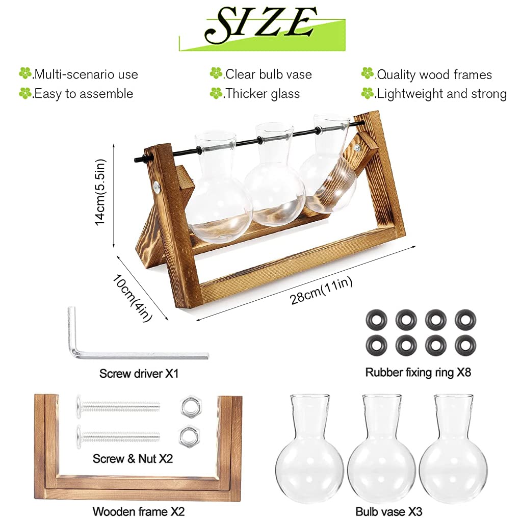 HASTHIP Hydroponics Glass Planter for Desktop Decor with Wooden Stand 3Pcs Set | 5.5H x 11W x 4D