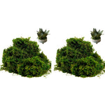 HASTHIP Realistic Moss for Planter Decoration with Lifelike Texture 200g Dark Green 2PCS