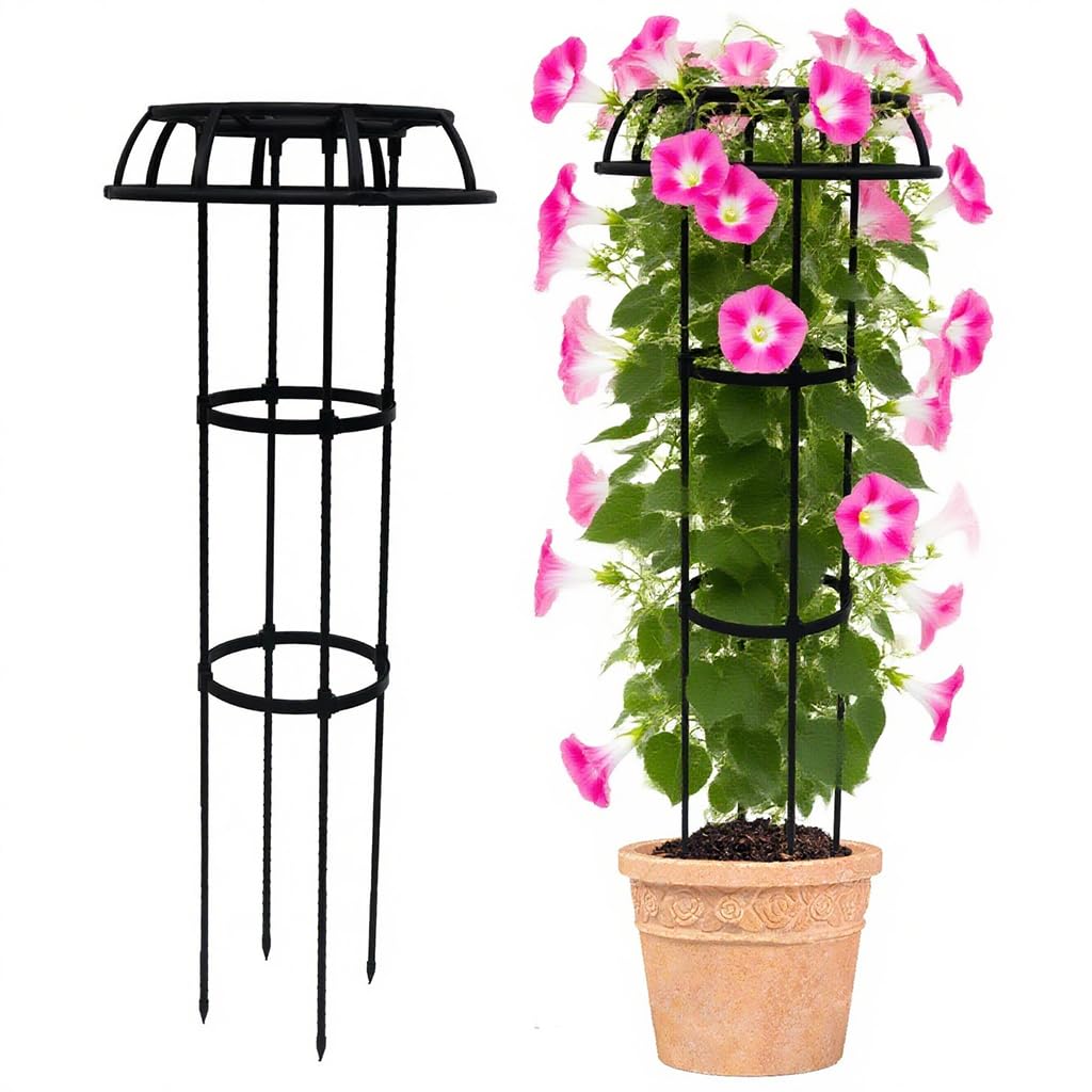 HASTHIP Plant Support Sticks for Indoor and Outdoor Plants with 45cm Fiberglass Rods | 10Pcs Set with Snap On Fixing Rings