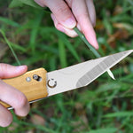 HASTHIP Grafting Cutter Tool 3 in 1 for Gardening with Wooden Handle and Rugged Steel | 2PCS