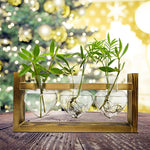 HASTHIP Hydroponic Glass Vase Kit for Desktop Decor with 3 Heart Planters & Wooden Stand