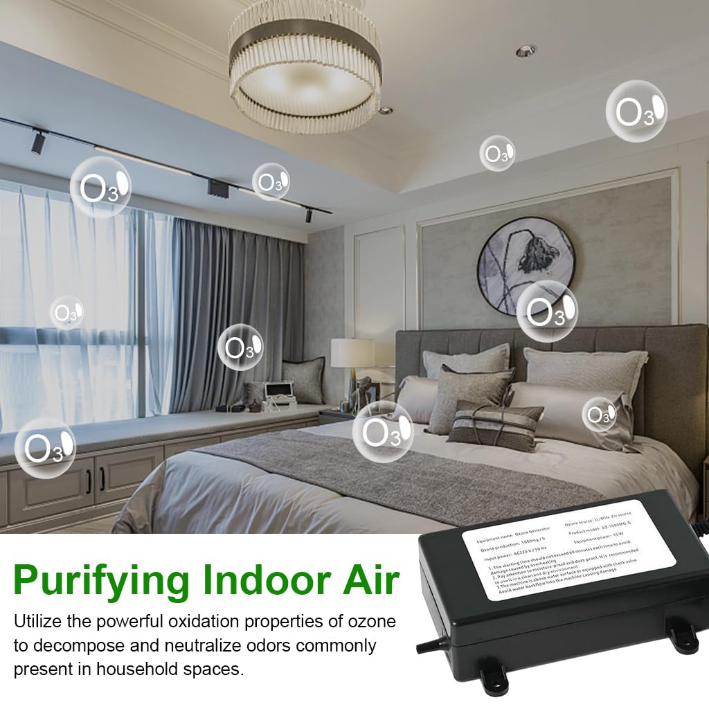 HASTHIP Ozone Generator for Air Purification and Water Treatment featuring 1000 mg h Output | Includes Diffusing Stone and Silicon Tube