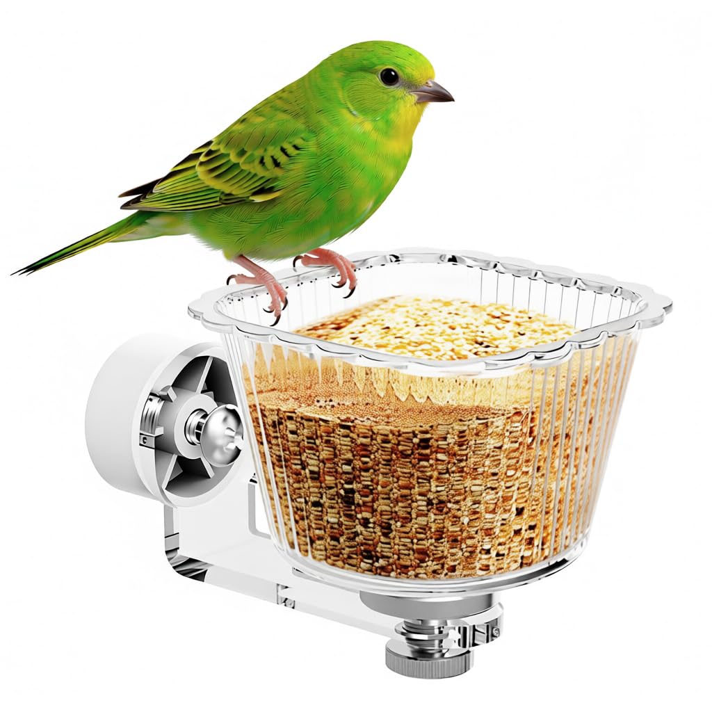 HASTHIP® Pet Bird Feeder Bowl for Cage Screw-mount Parrot Feeder Clear PC Food Bowl with Magnetic Base, Easy to Remove and Clean, Acrylic Bracket Pet Bird Feeder, 72x106x66mm