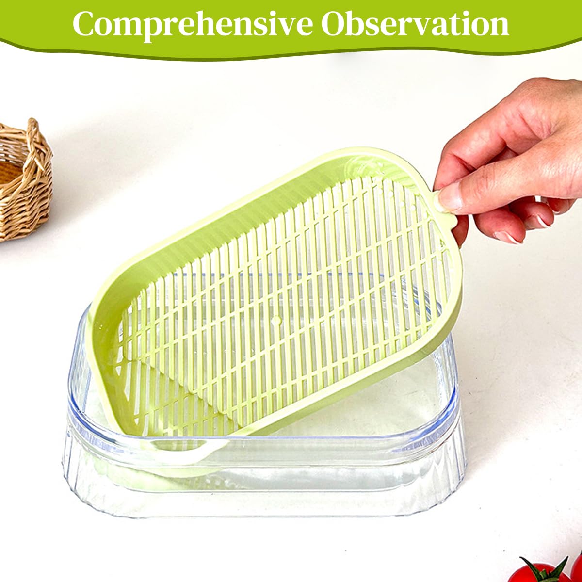 HASTHIP Garden Seed Sprouter Tray for Wheatgrass and Cat Grass 19 x12.5 x5 cm with Double Layer ABS Design
