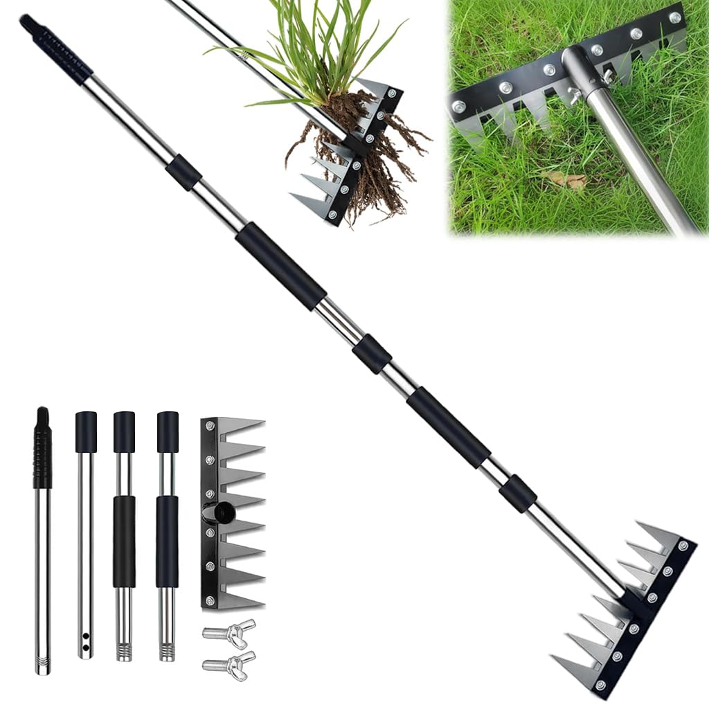 HASTHIP® Steel Gardening Rake 8-Spike Rake, Heavy-Duty Garden Soil Rakes with Detachable Steel Handle for Loosening Soil, Weeding, and Yard Landscaping