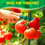 HASTHIP® Plastic Plant Support Clips - 120 Pcs Plant Clips for Climbing Plants - Garden Plant & Vines Support Clips - Plant Support Clips for Supporting Stems & Vines Grow - Upright Climbing Clips