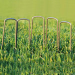 HASTHIP Landscape Staples for Garden and Lawn Use with 50 Pcs 6 in U Shape Steel Pegs