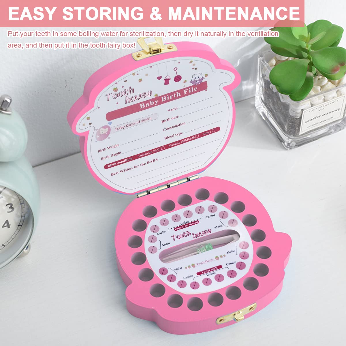 HASTHIP Baby Tooth Fairy Box for Kids with Slots for All First Teeth | 12.5 x 11.48 x 3 cm Wooden Keepsake Organizer