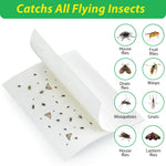 HASTHIP Adhesive Fly Trap for Kitchen and Garage with Large Surface Non-Toxic 10 Count | Odorless Insect Catcher