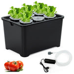 HASTHIP Hydroponic System Kit for Indoor Gardening with 6 Compartments and USB Air Pump | Black PP Grow Box