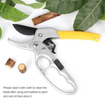 Gardening Scissor Stainless Steel Garden Snip with Safety Lock Garden Shears Sharp Cutter Pruners Scissor for Lawn, Garden & Potted Plants (A)