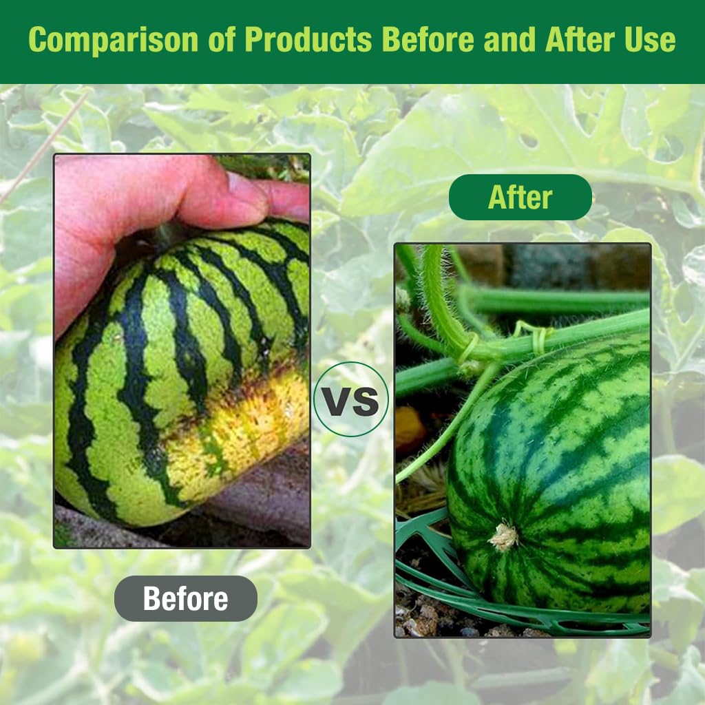 HASTHIP Strawberry Plant Supports for Clean Fruit Growth with 31cm Grid Stand | Weather‑Resistant Plastic